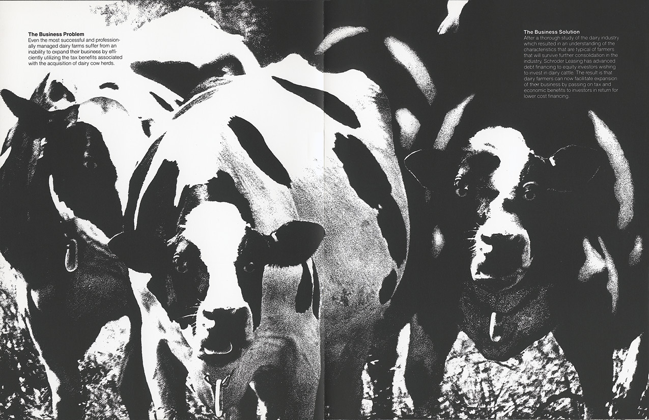 Schroders Leasing Cows
